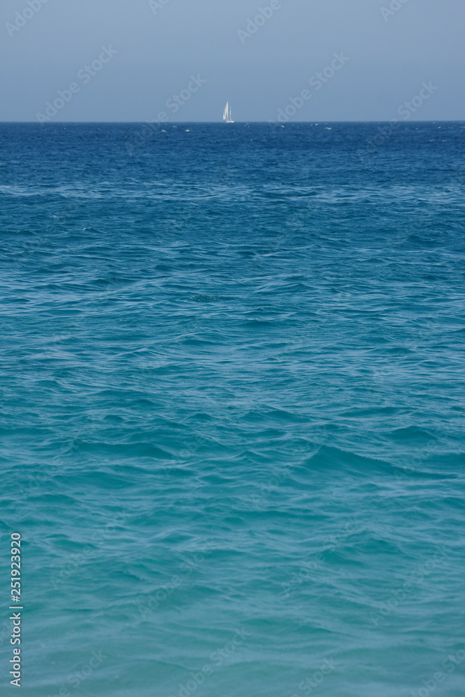 Obraz premium SONY DSC