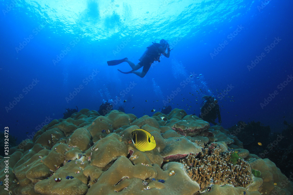 Obraz premium Scuba divers explore coral reef 