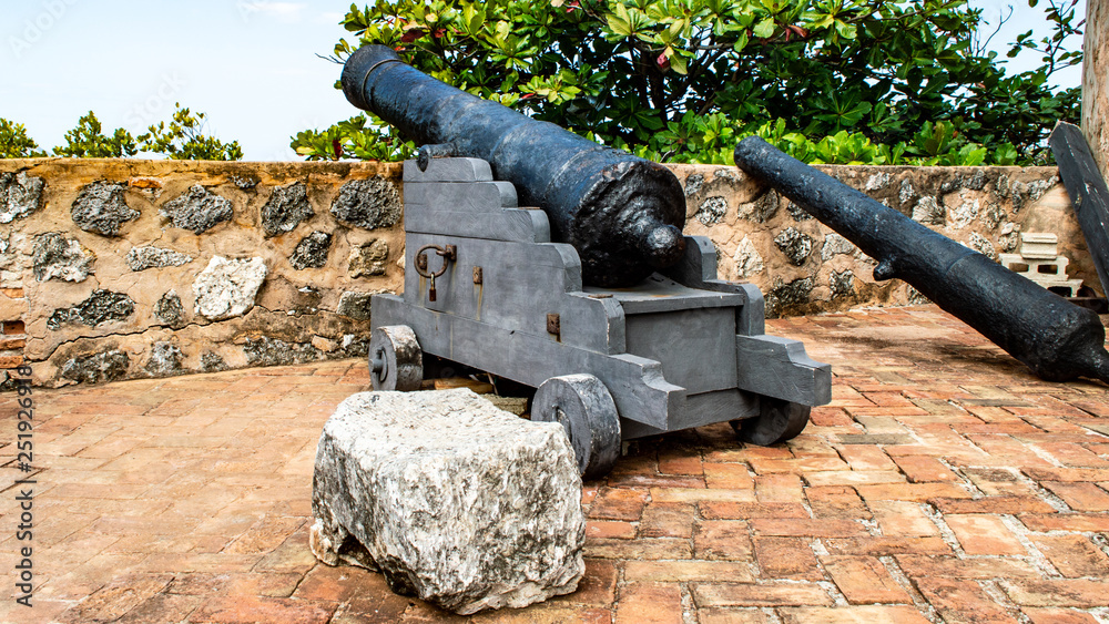 Old Spanish Cannon