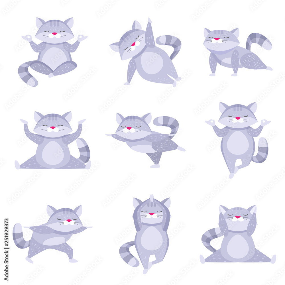 Fototapeta premium Set of cute raccoons doing relaxing exercise and meditating in different poses isolated on white background