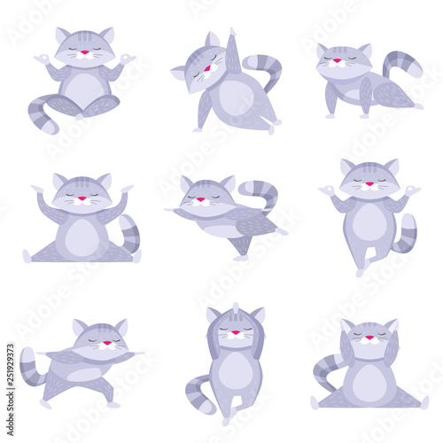 Set of cute raccoons doing relaxing exercise and meditating in different poses isolated on white background