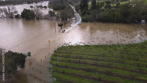 Flooding beside the Russian River on Westside Road. Healdsburg, Sonoma County, CA. 27Feb2019