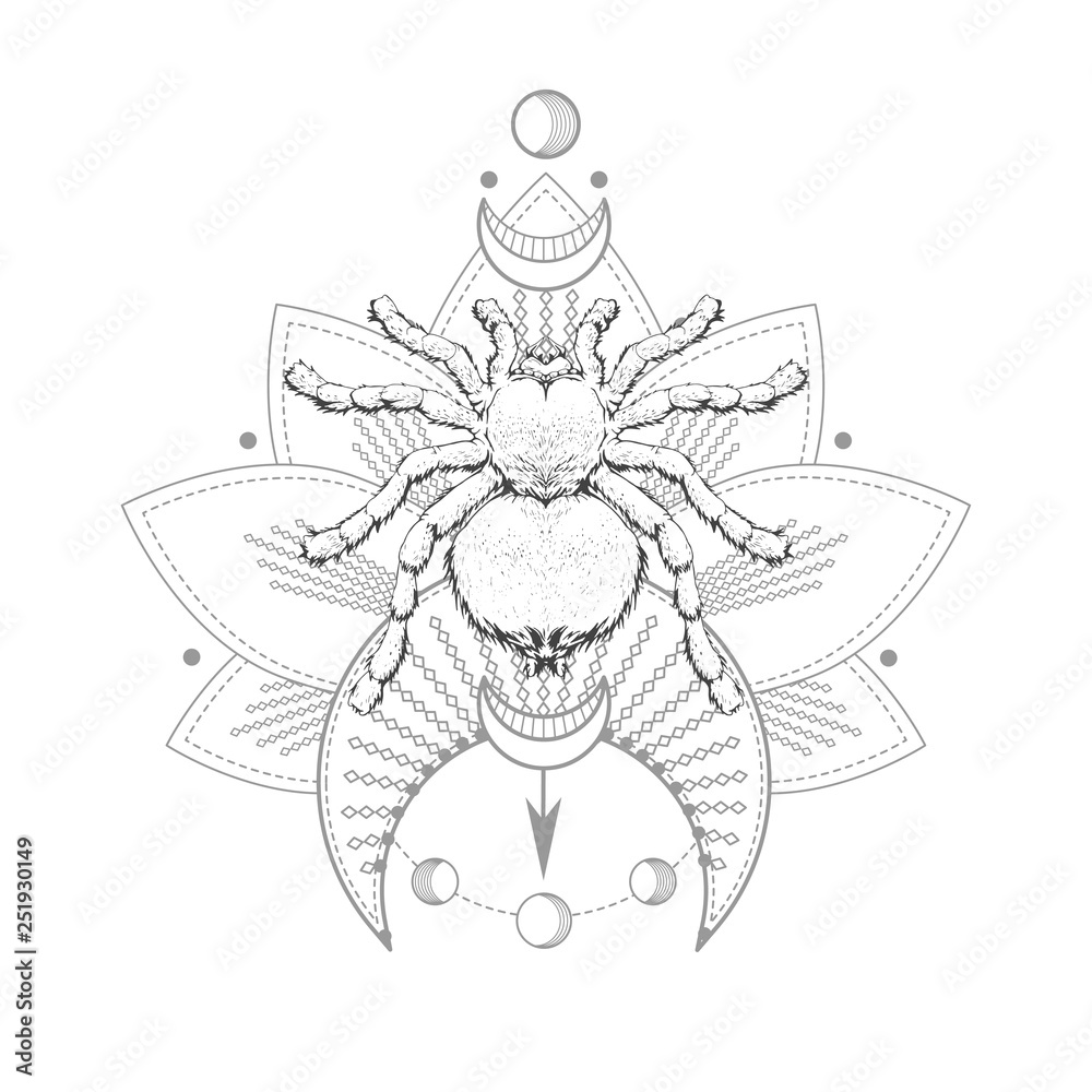 Vector illustration with hand drawn spider and Sacred geometric symbol on white background. Abstract mystic sign. Vector illustration with hand drawn spider and Sacred geometric symbol on white background. Abstract mystic sign.