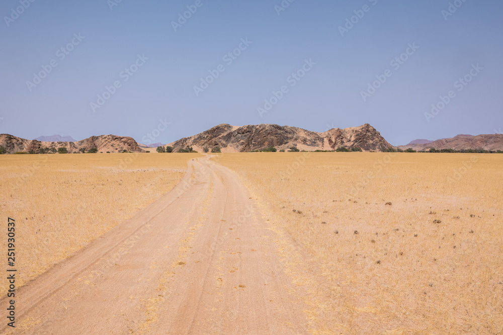desert road, Damaraland