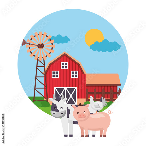 Fototapeta Naklejka Na Ścianę i Meble -  animal barn farm fresh