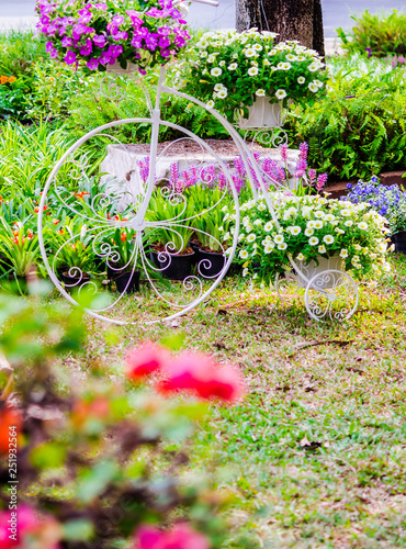 Vintage white bike and flower pot decoration in cozy home flowers garden on summer.  