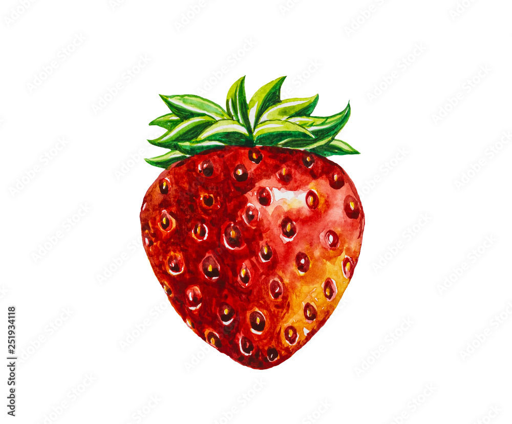 Fototapeta premium Strawberry fruit painting.Painted with watercolor.