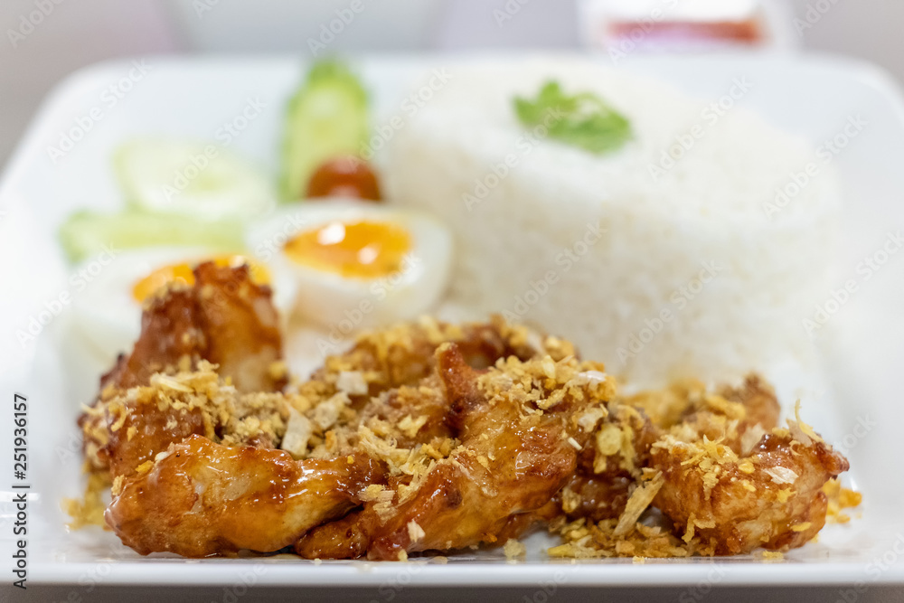 Fried Chicken with Garlic Pepper and boiled egg on Rice Fried Chicken with Garlic Pepper and boiled egg on Rice