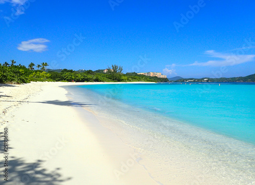 Fototapeta Naklejka Na Ścianę i Meble -  Beautiful Lindquist beach day on St. Thomas US Virgin Islands with clear blue skies, palm trees and turquoise water.
