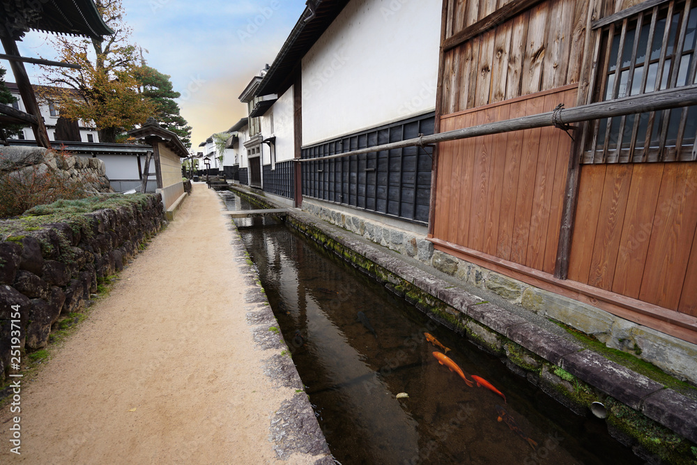 Koi fish(carp fish) in the river city of Hida Furukawa, Gifu prefecture, Japan.