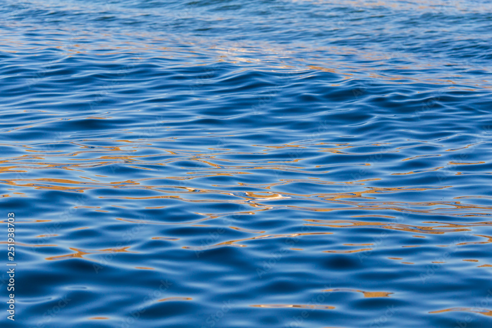 Surface on the pond as a background Surface on the pond as a background