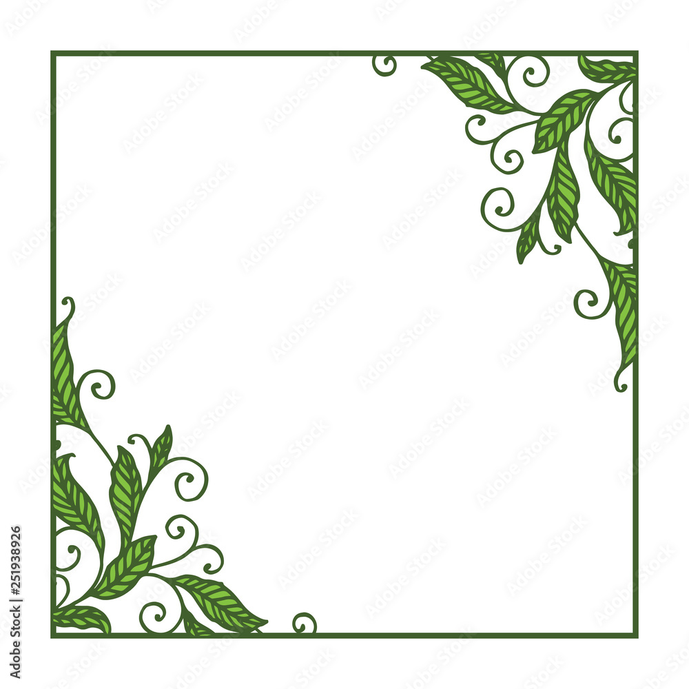 Vector illustration leaf floral frame white background hand drawn