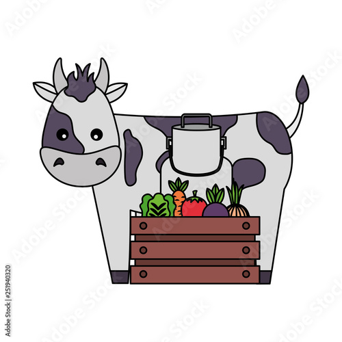 cow milk can and vegetables farm