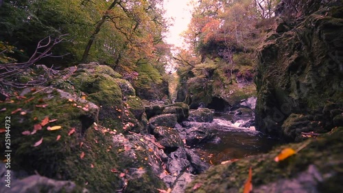 Autumnal Stream in North Wales, UK photo