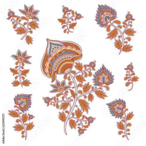Vector set of floral elements. Indian style 