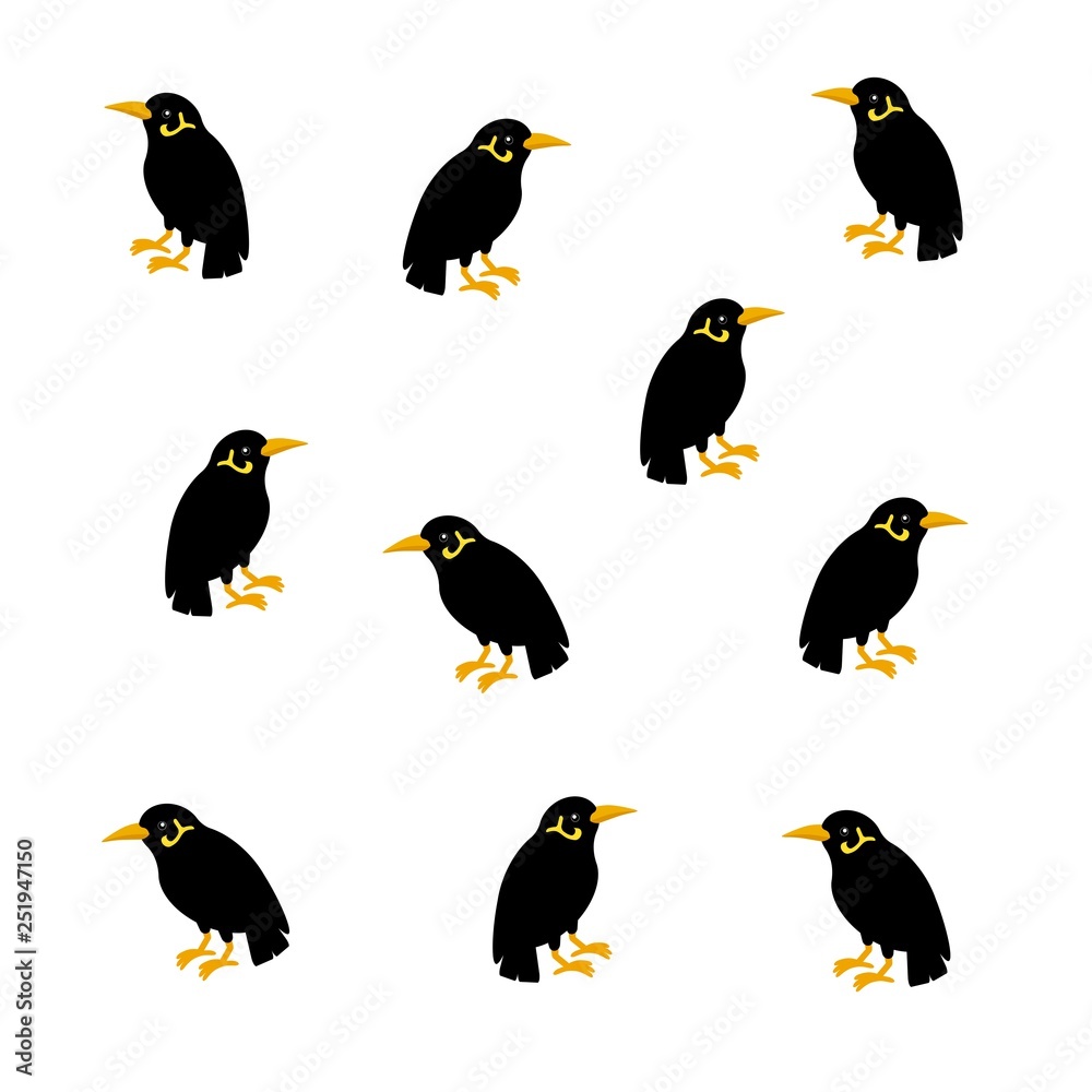 Obraz premium 九官鳥の模様