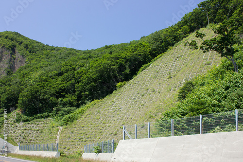 Plakat 法面保護 法面