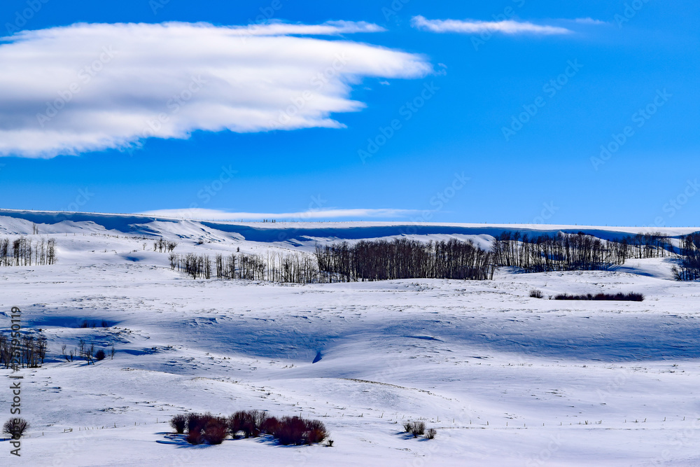 Snow covered Colorado hillside with blue sky in Winter