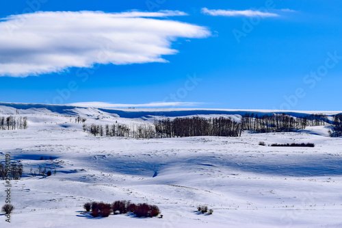 Snow covered Colorado hillside with blue sky in Winter