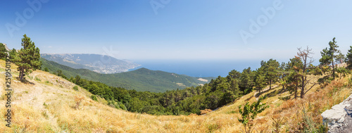 Panorama of a hillside and the sea coast © Тищенко Дмитрий