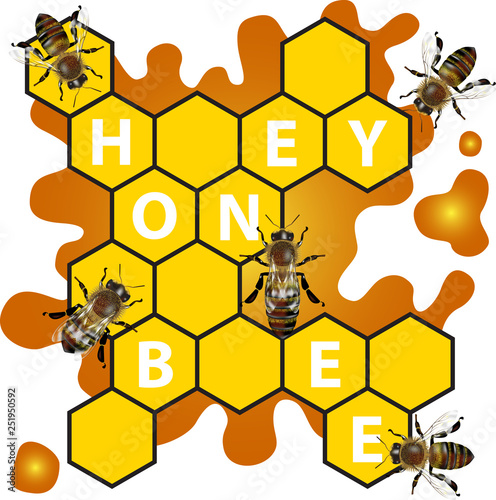 Bee texture background vector