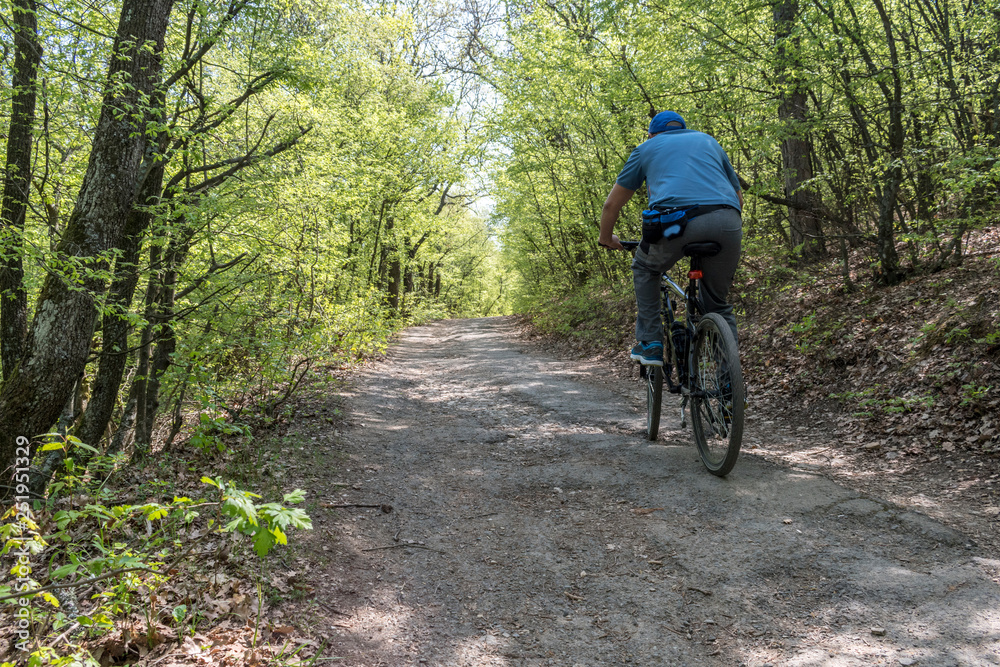 A man riding a bicycle on the driveway in the park. A man riding a bicycle on the driveway in the park.