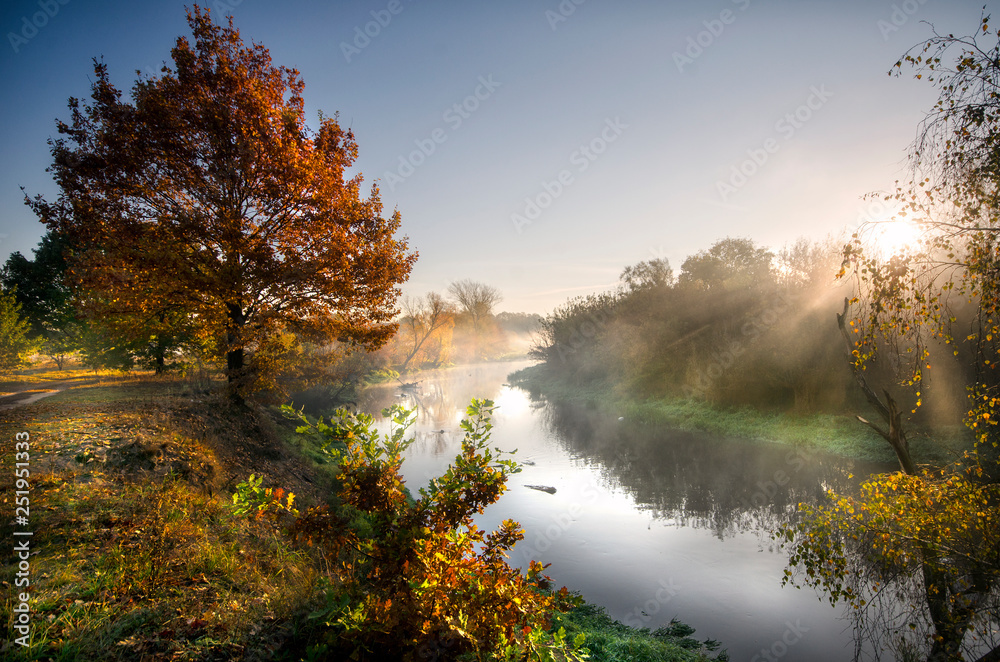 Fototapeta premium Polskie rzeki