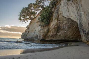 Poster Cathedral Cove Cathedral Cove gezien vanaf Te Hoho  © Dustin