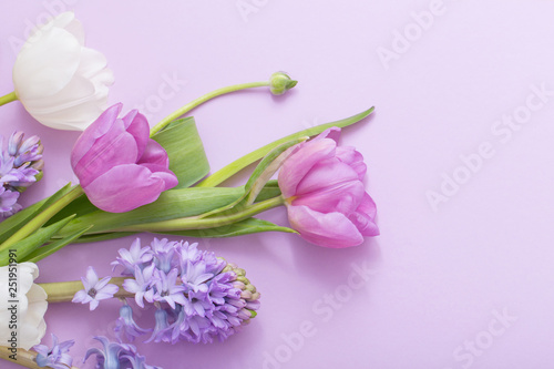 beautiful flowers on paper background #251951991