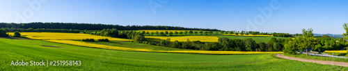 Panorama der Taunuslandschaft mit blühenden Rapsfeldern im Frühling