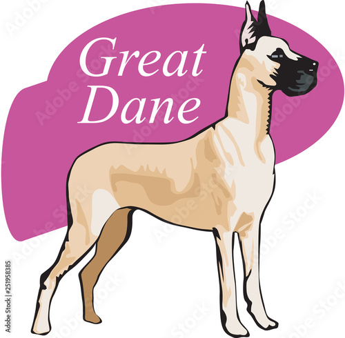 Great Dane Vector Illustration