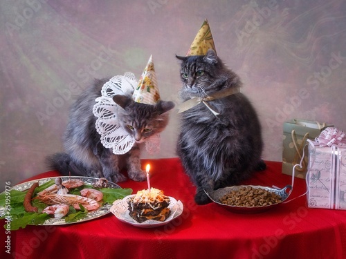 Canvas Print Pretty young kitty's birthday