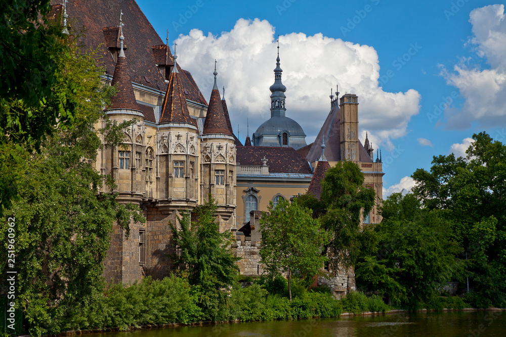 Ancient knight's castle with towers among green trees