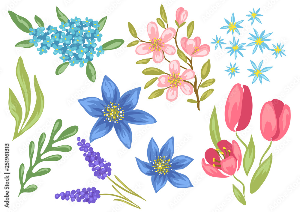 Obraz premium Set of spring flowers. Beautiful decorative natural plants.