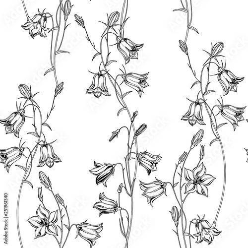 Seamless vector pattern with with flowers campanula. Black and white nature background.