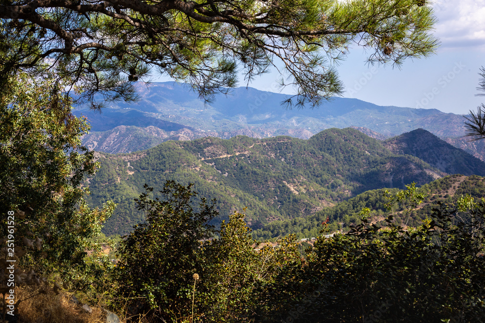 The view of Troodos mountains from top. With cedars on the foreground