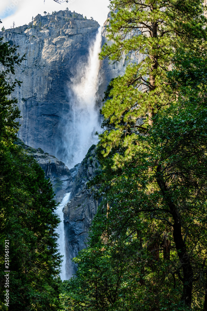 Fototapeta premium Nice view trough the forest up to the Yosemite Falls - Yosemite National Park