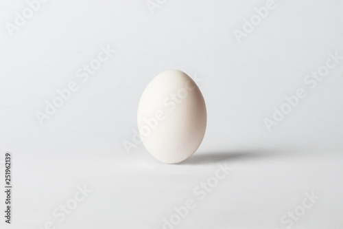 White Chicken Egg on a white background. Minimalism. Side view