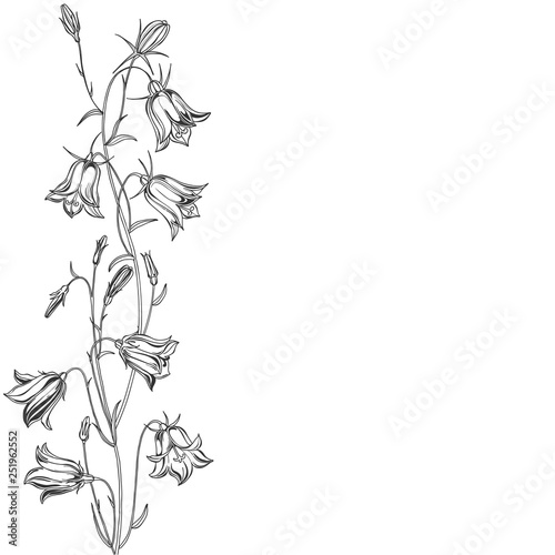 Floral vector background with flowers bluebells and place for text. Invitation, greeting card or an element for your design. Vertical composition on a white background.