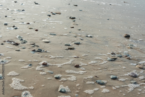 Baltic sea coastline.