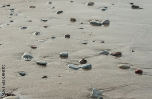 Fototapeta Naklejka Na Ścianę i Meble -  Baltic sea coastline.