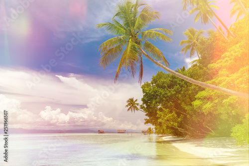 Background of Paradise island - landscape of tropical beach - calm ocean, palm trees, blue sky