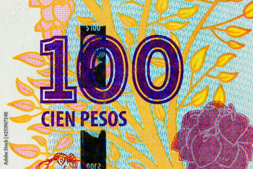 Fragment of the money note 100 Argentine peso  close-up  background.