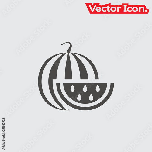 watermelon icon isolated sign symbol and flat style for app, web and digital design. Vector illustration.