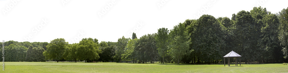 Very high definition Treeline isolated on a white background Very high definition Treeline isolated on a white background