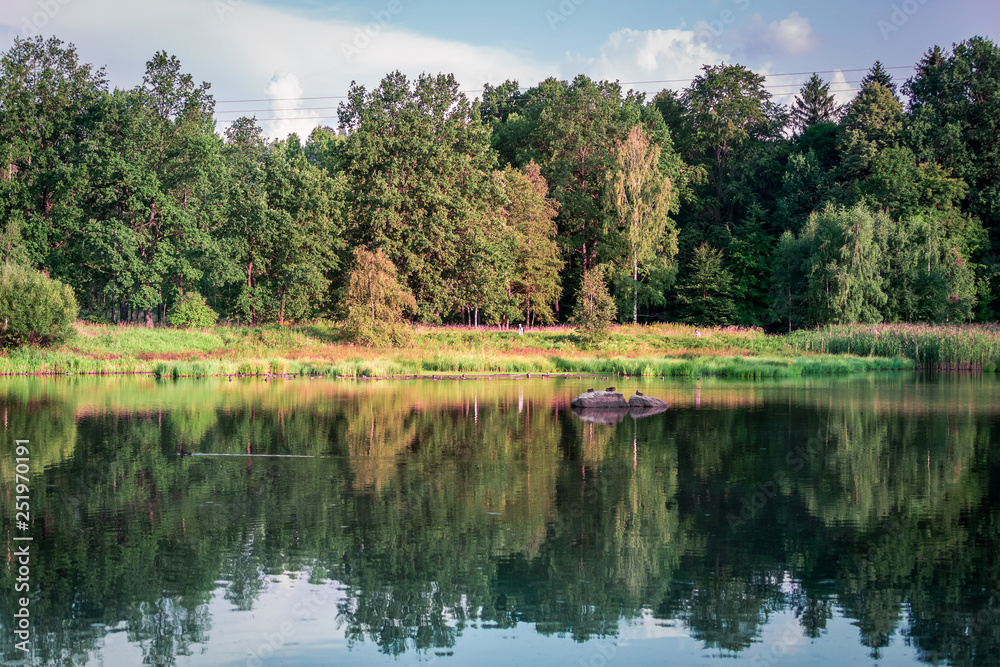 Fototapeta premium Landscape
