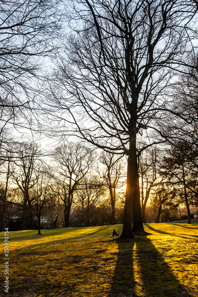 Naklejka premium Frau im Parke sitzen im Gegenlicht