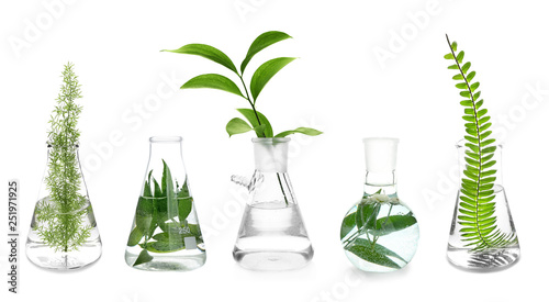 Laboratory flasks with plan...