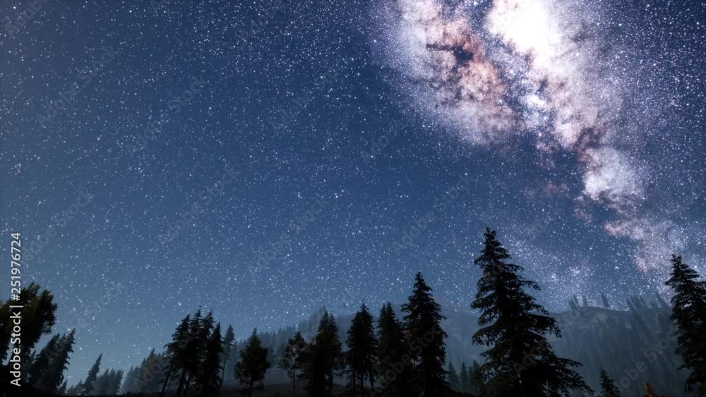 Milky Way stars with moonlight above pine trees forest Milky Way stars with moonlight above pine trees forest