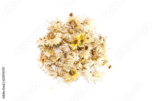 Chrysanthemum  tea Close up